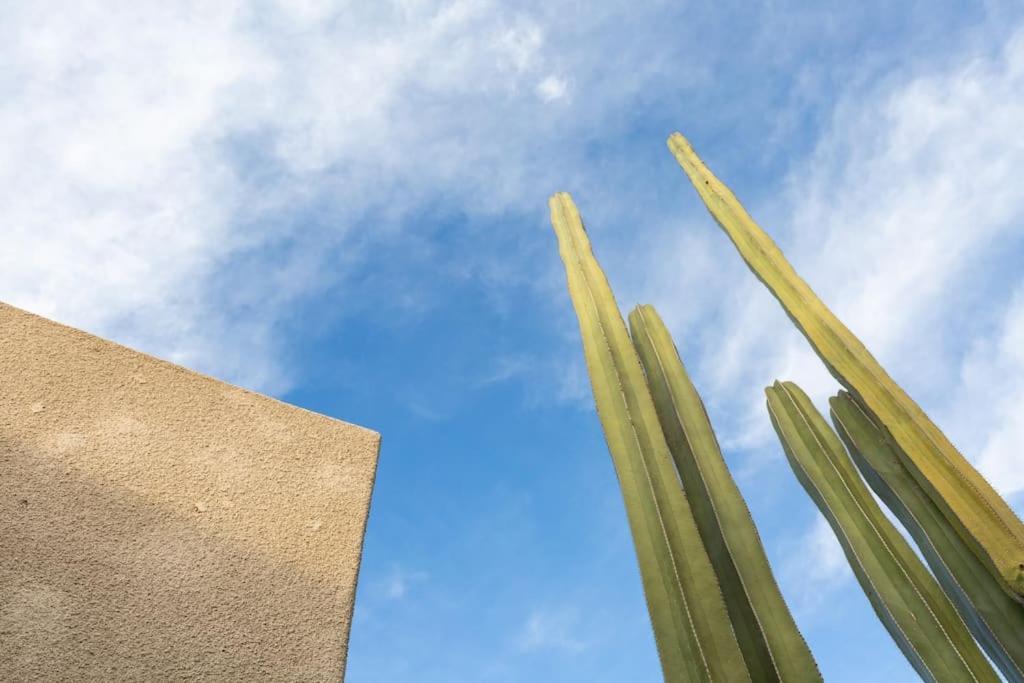 Desert Princess Villa Palm Springs Area Cathedral City Bagian luar foto